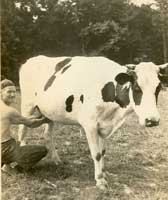 Frank Selby & cow