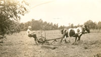 Pop working